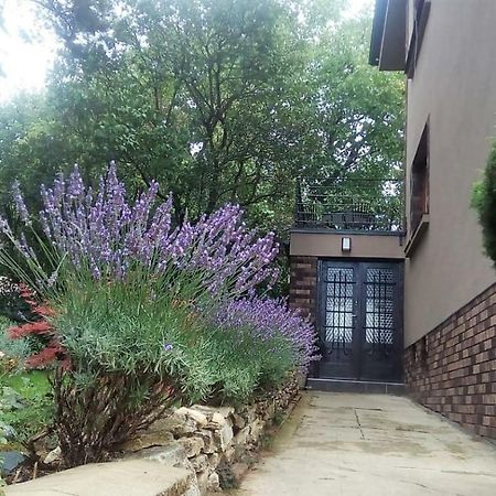 Apartman V Zahrade Praha Troja - Apartment In The Garden Prague Troja Kültér fotó